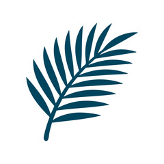 Coconut leaf vector illustration 