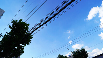 Power Lines Against Blue Sky with Green Trees"