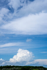入道雲と青空と緑の森