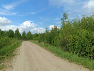Road in forest in Siauliai county during sunny summer day. Oak and birch tree woodland. Sunny day...