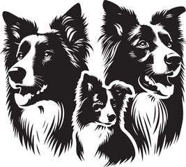 Border Collie Dog Vector – Silhouette 