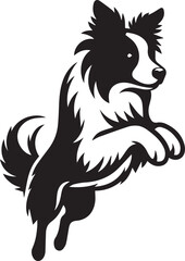 Border Collie Dog Vector – Silhouette 