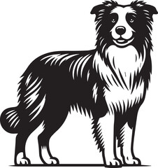 Border Collie Dog Vector – Silhouette 