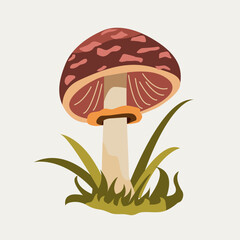Mushroom with spotted red top and cream stalk standing in grass. For woodland graphics and nature themed visuals.