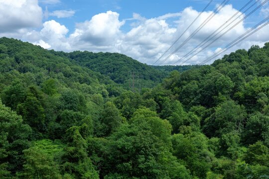 Lush green forested hills under a bright blue sky with fluffy white clouds and power lines