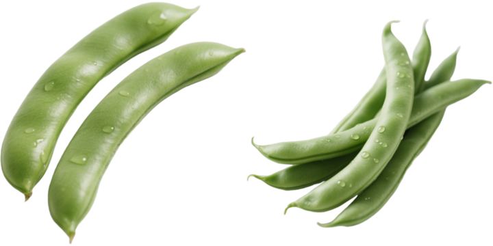 インゲン豆　野菜　ベジタブル　素材