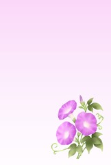 朝顔の背景　B-6