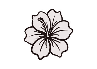 Fototapeta premium Hibiscus flower Vector, Hibiscus flower Icon Illustration