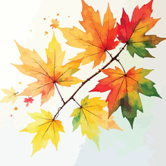 autumn maple leaves