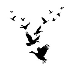 A flock of black ducks flying. hand drawing. Not AI. Vector illustration.