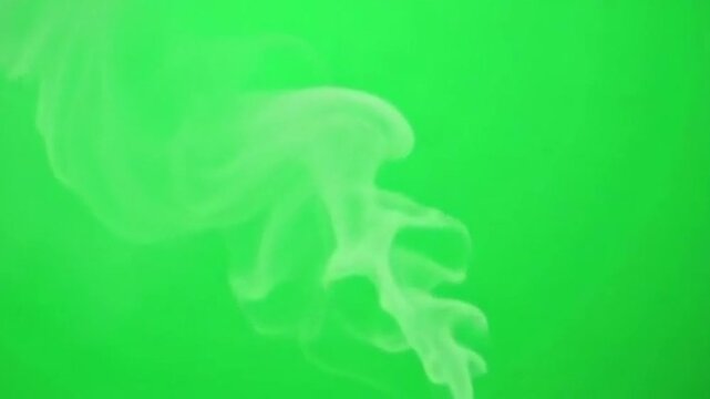 High-resolution fog or smoke passes on a green screen, loop-ready for use in trailers, intros, or ambient cinematic backdrops.
