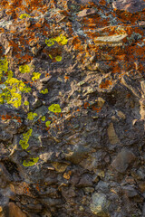 Textured rock covered in orange and yellow lichen outdoors