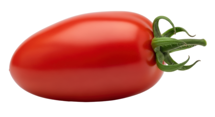 Isolated Roma Tomato