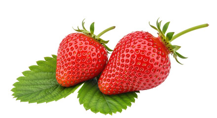 Isolated Fresh Strawberries with Leaves