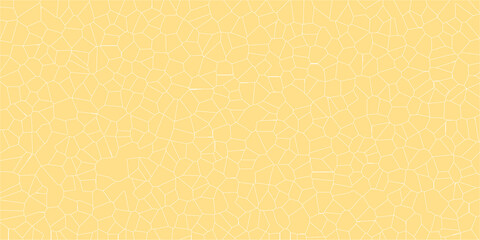 Network of Natural Cracks for Visual Use

