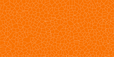 Linear Crack Pattern in Artistic Display

