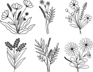 Flower abstract line arts, hand drawn bouquets of herbs, flowers, leaves and branches, vector illustration