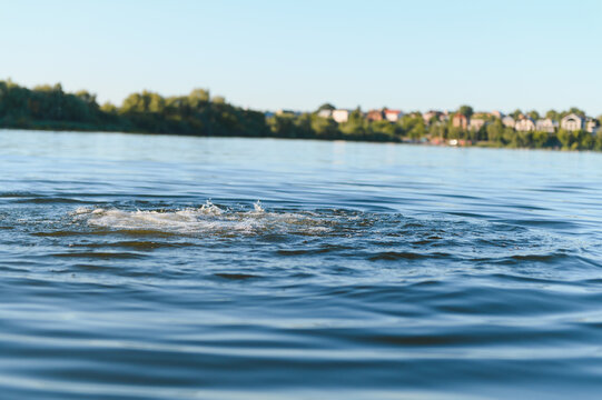 Man drowning in a lake near the shore on a sunny day