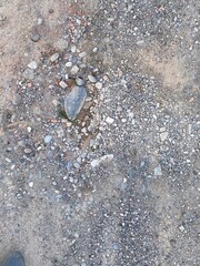 Close up view of small rocks and pebbles scattered across a sandy surface showing various textures and sizes of aggregate material