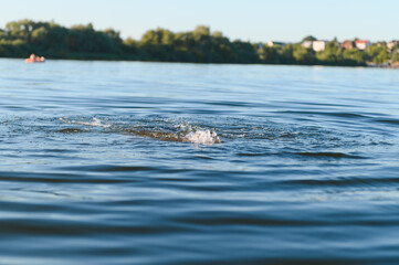 Man drowning in a river during summer vacation