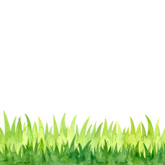 Fototapeta premium Fresh green grass, perfect for a vibrant nature background or an isolated lawn design, evokes the essence of a summer meadow