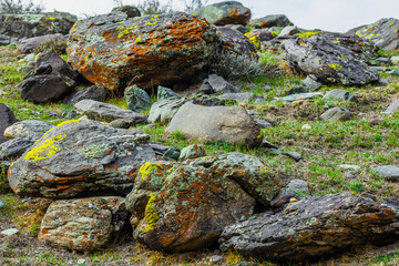 Rocks covered in lichen in serene grassy terrain