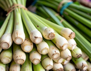 Fresh lemongrass stalks &ndash; close-up of aromatic herb used in Asian cooking and herbal remedies