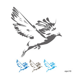 vector illustration of a flying bird
