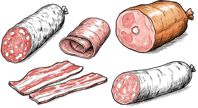 Hand drawn meat selection: salami, ham, bacon and deli cuts