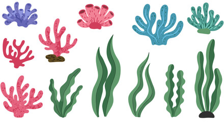 Obraz premium Colorful seaweed and coral set on white background