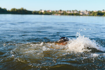 Man drowning in a lake during a summer day