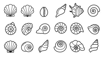 Minimalist seashell icons collection in black and white line art