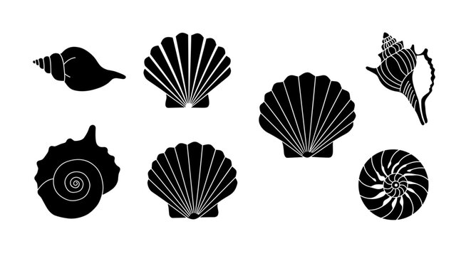 Elegant seashell silhouettes collection on white background