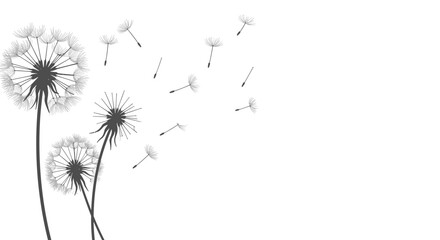 Elegant black and white dandelion silhouette with blowing seeds on minimalist background