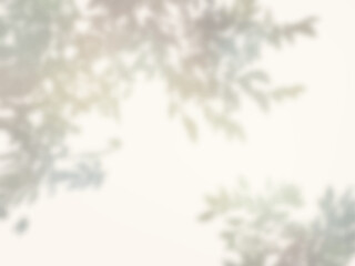 木の影が壁に映るシンプルな背景