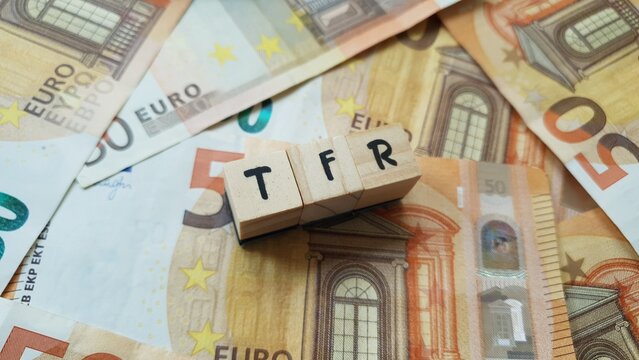 TFR acronym made of wooden letter cubes on pile of Euro banknotes. Trattamento di Fine Rapporto (Severance Pay)