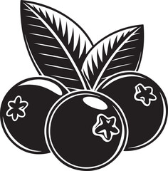 Black blueberries with leaves vector illustration blueberry fruit