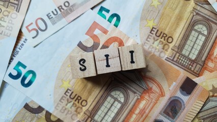 SII acronym made of wooden letter cubes on pile of Euro banknotes. Sistema di Interscambio (Interchange System for invoices in Italy)