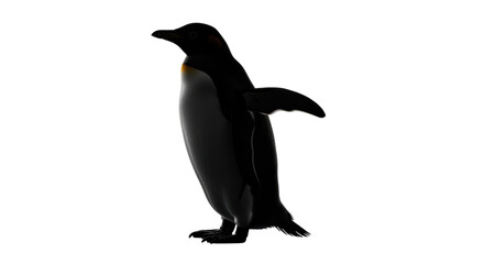 Isolated Penguin