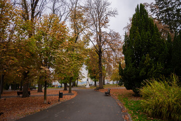 Autumn scene in Kalemegdan Park, Belgrade, with fallen leaves and a bench in close up. Concept of European fall tourism, peaceful walks, and enjoying seasonal beauty in historic city parks