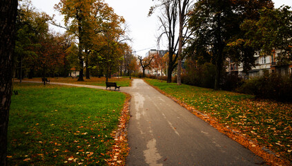 Autumn park with fallen leaves, benches, and walking paths in Kalemegdan Park, Belgrade. Concept of European fall parks, seasonal charm, and leisurely strolls through colorful city landscapes