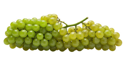 Isolated Bunch of Green Grapes