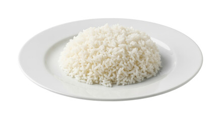 Isolated Cooked Rice on Plate, Staple Food