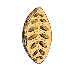 COLORED ILLUSTRATION OF BREAD FOOD