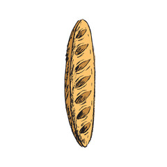 COLORED ILLUSTRATION OF BREAD FOOD