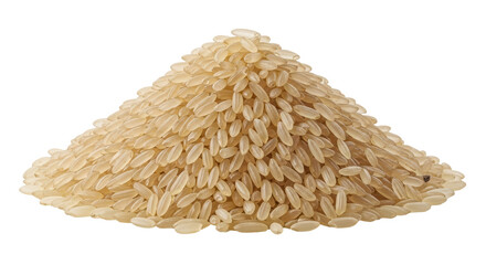 Isolated Pile of Brown Rice