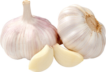 Garlic Isolated From Background