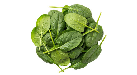 Isolated Spinach