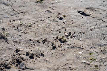 sand on the beach