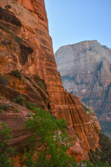 View through Scenery in Zion National Park, Utah, USA from the trail to Angel's landing